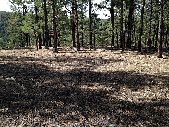 2nd image of 21.6 Vacant Land Cr 21 6