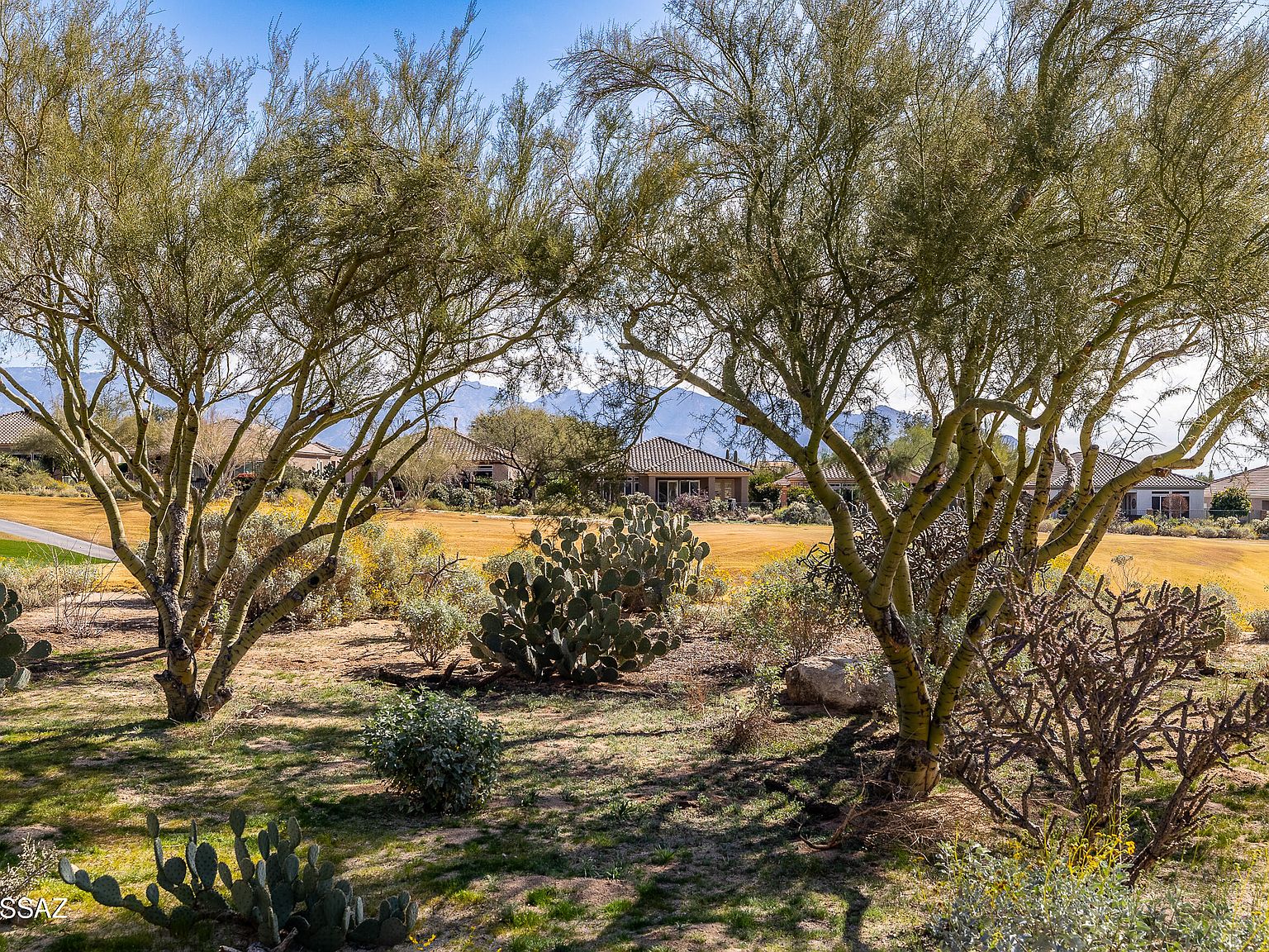 5388 W Winding Desert Dr