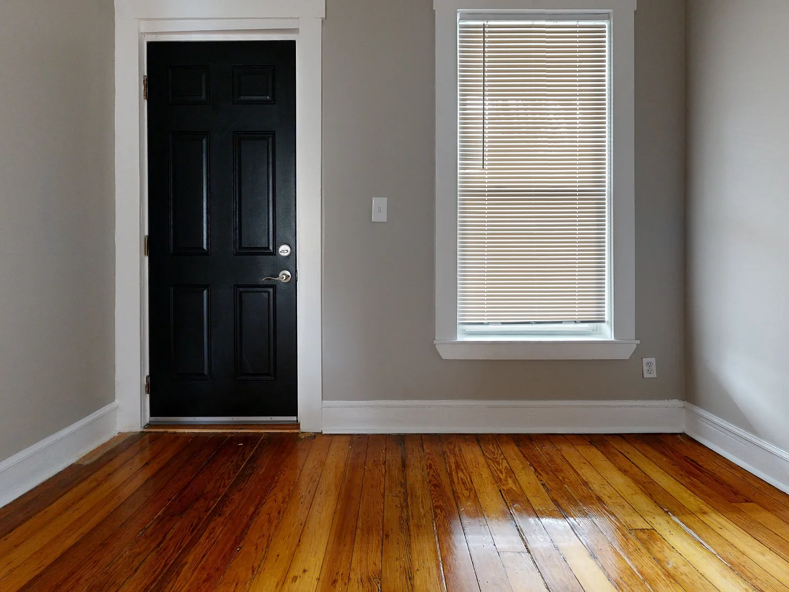 46-48 Fuller Street — Photo 4