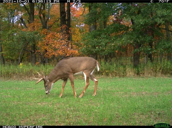 0 340th Avenue, Frederic, WI 54837