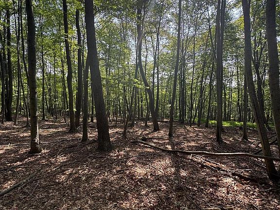 4th image of 8165 Sand Rock Rd