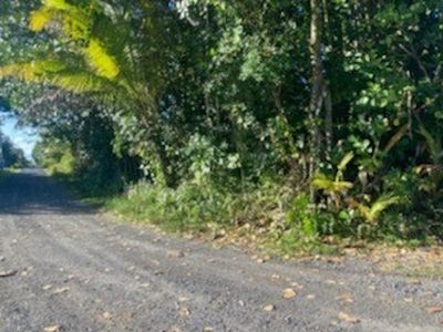 15-1144 Amau Rd Lot 65, Keaau, HI, 96749