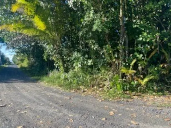15-1144 Amau Rd Lot 65, Keaau, HI 96749