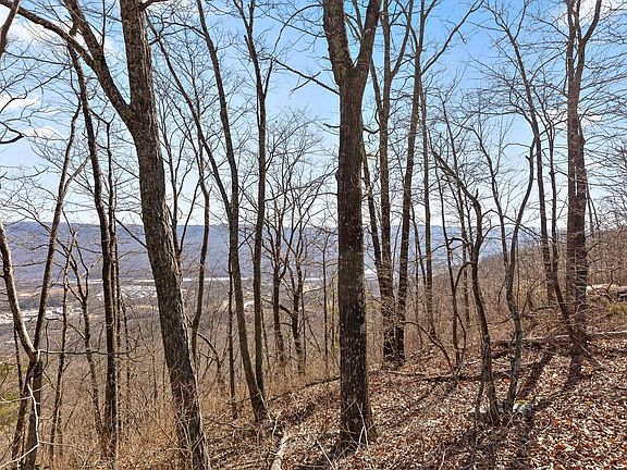 3rd image of 4233 Amethyst Rd Lot 807