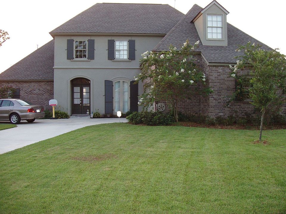 Front view