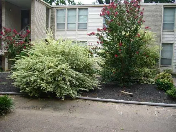 32 N Belvedere Blvd APT 15, Memphis, TN 38104