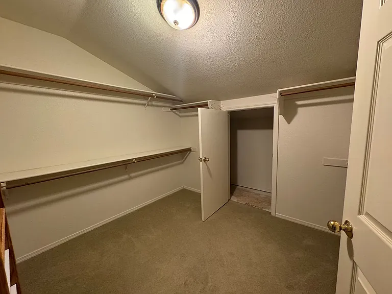 1676 Golddust Dr — Photo 14