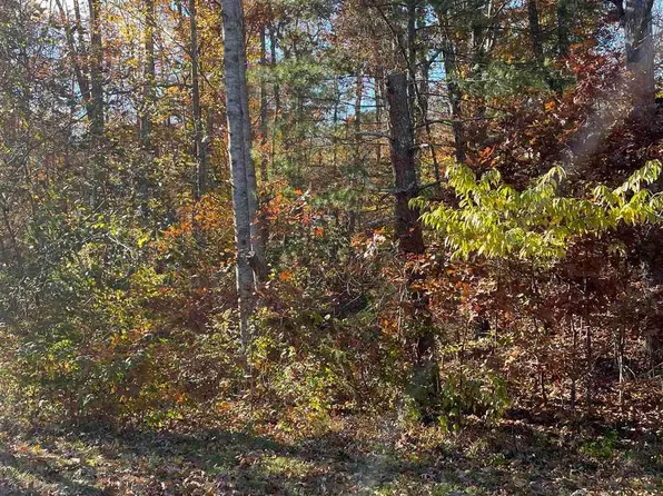 20 Chippewa Ln, Palmyra, VA 22963