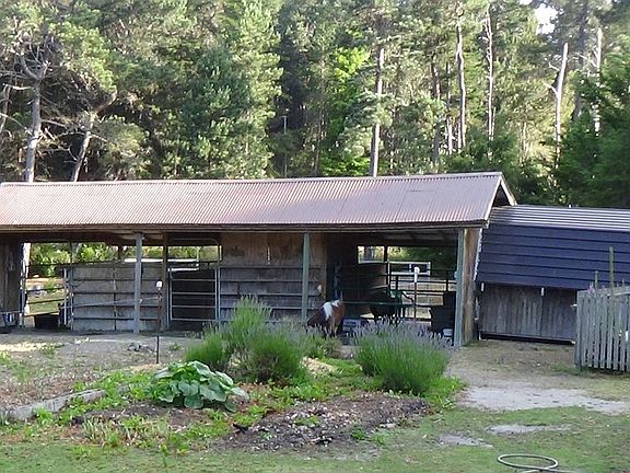 3rd image of 16652 Mitchell Creek Dr