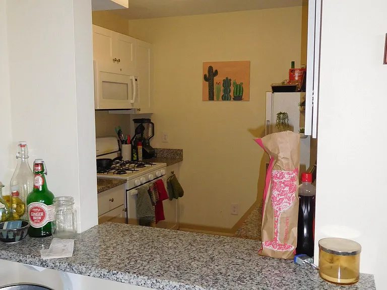 3-15 Lorraine Terrace — Photo 62