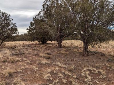 4457 & 4451 S Pinto Rd, Snowflake, AZ, 85937