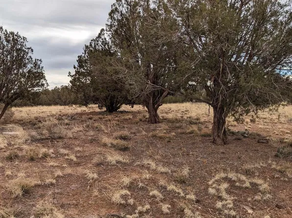 4457 & 4451 S Pinto Rd, Snowflake, AZ 85937