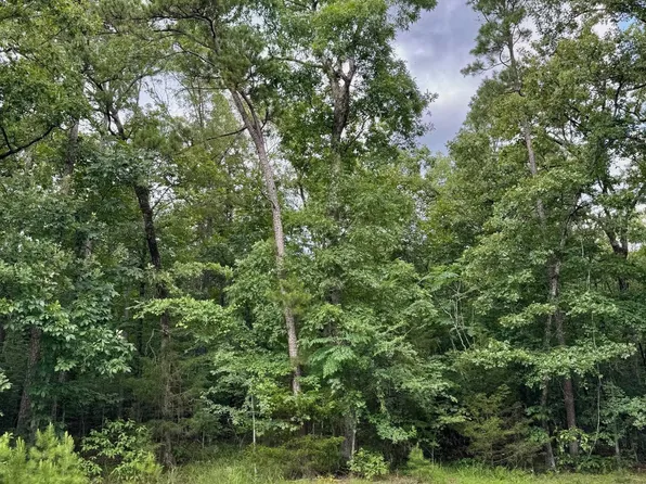 (undisclosed Address), Heber Springs, AR 72543