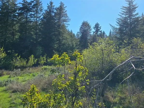 112 Ellemeham Mtn, Oroville, WA 98844