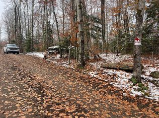 Palisades Rd W, Old forge, NY 13420