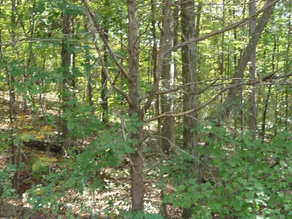 0 Goodwin Road Walker Brow Rdg, Cleveland, TN 37312