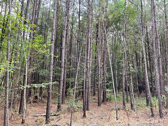 3rd image of 158 Three Mile Stretch Rd