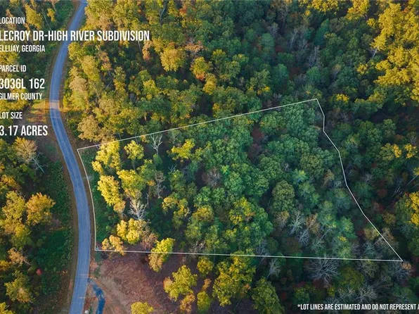 0 Lecroy Dr #162, Ellijay, GA 30540