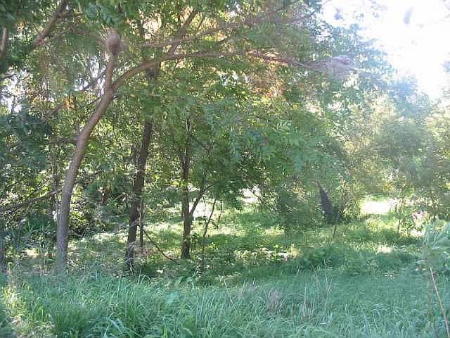 2nd image of 15946 Brownsville Rd