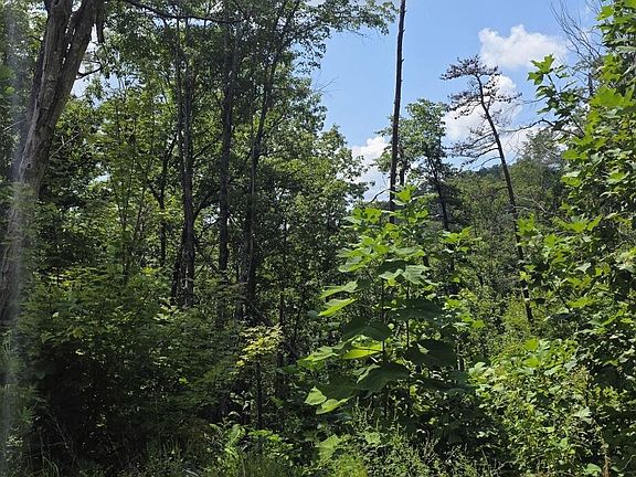 4th image of 14 Sugar Maple Loop Rd Lot 14