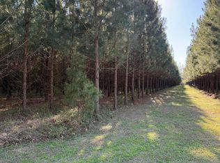 0 Polk Rd, Islandton, SC 29929