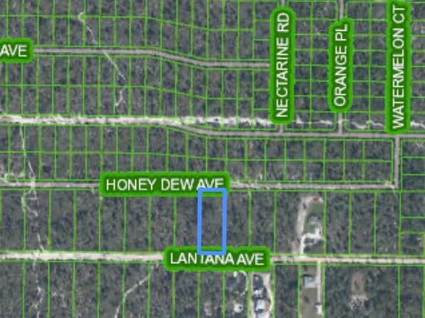 2126 Lantana Ave, Sebring, FL 33875