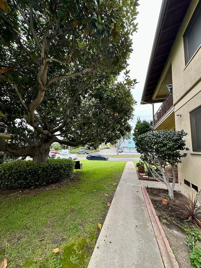 321-325 Calle Miramar — Photo 3