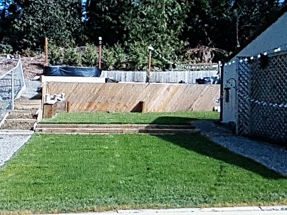 Back yard