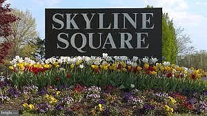 1st image of 5505 Seminary Rd APT 1414N