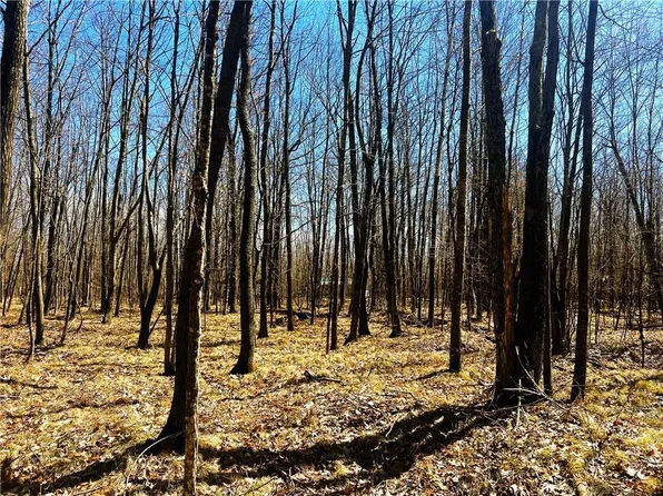 W9231 Broken Arrow Road, Conrath, WI 54731