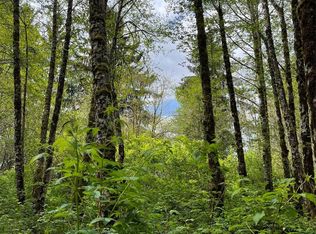 9999 Wentworth Rd, Forks, WA 98331