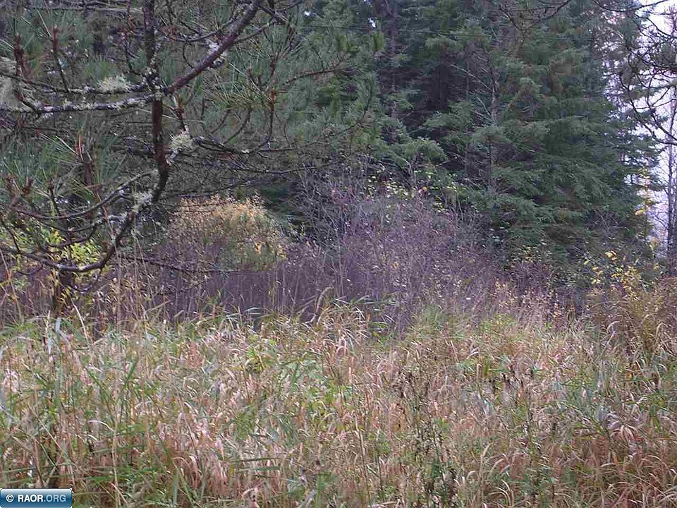 2nd image of 5628 Williams Rd