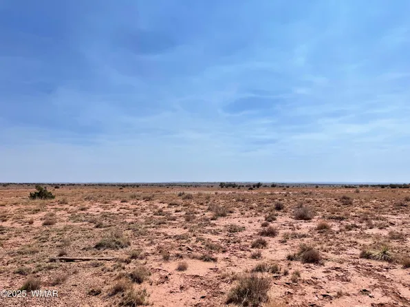 8191 E Concho Hwy Parcel D, Snowflake, AZ 85937