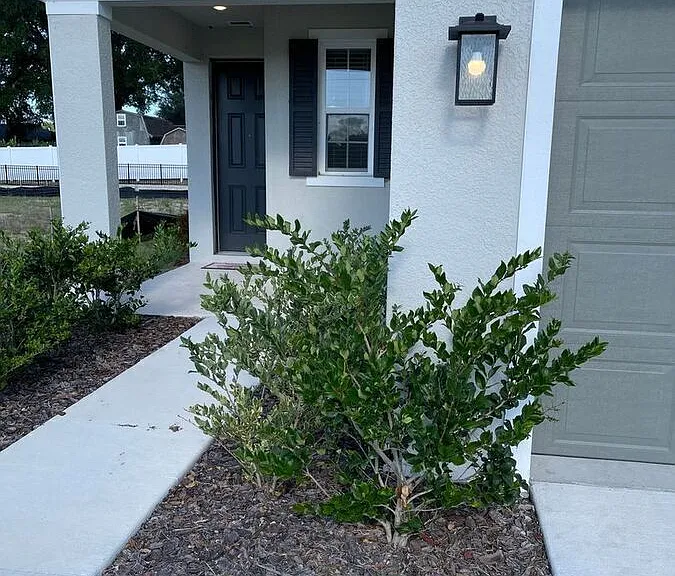 824 Blue Creek Dr — Photo 31