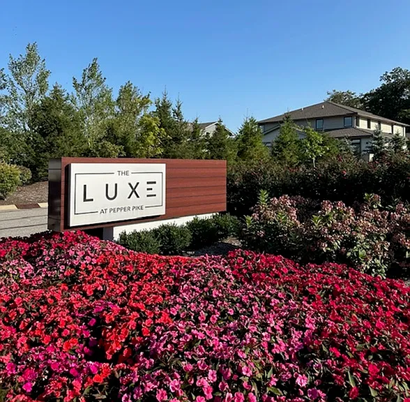 Live the Luxe Lifestyle