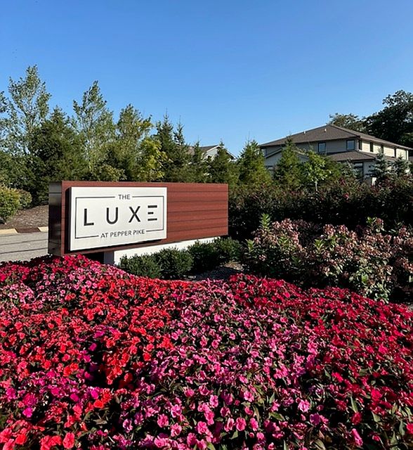 Live the Luxe Lifestyle