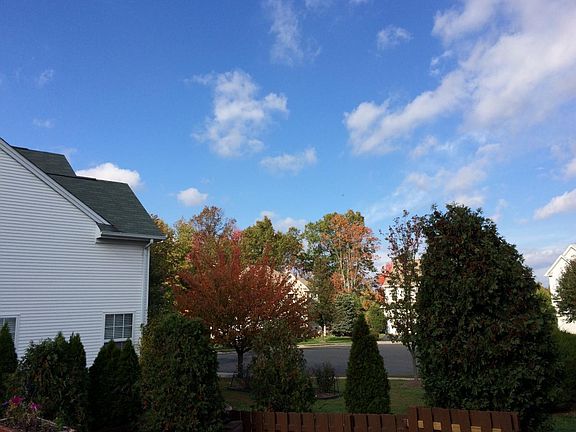 Back Yard View 2