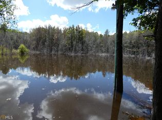 0 Hattaway Rd, Mitchell, GA 30820