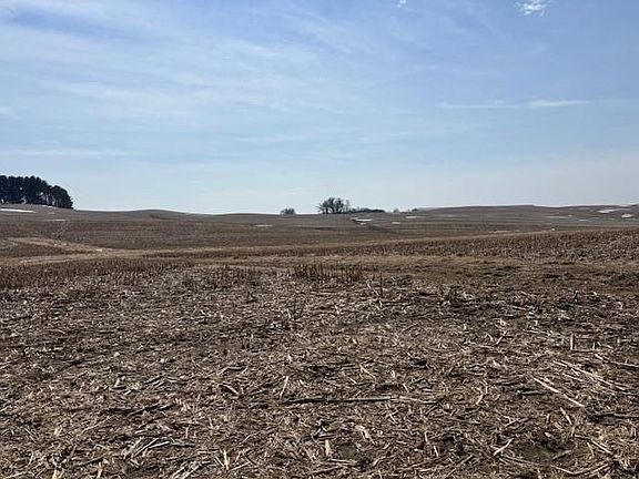 2nd image of XXX Halama Road