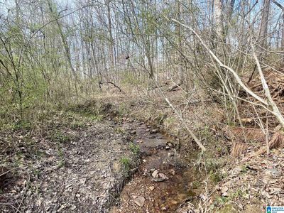 1 Tract County Rd #268, Roanoke, AL, 36274