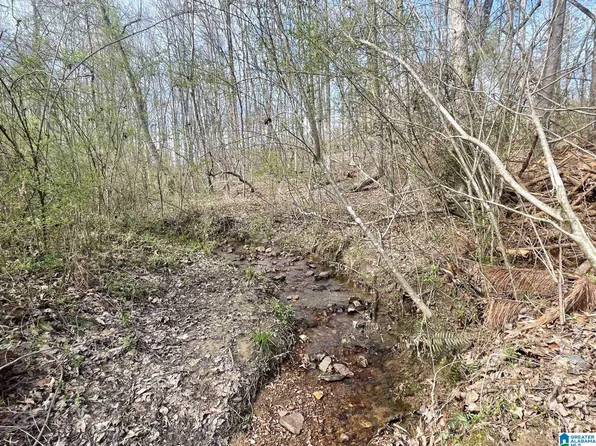 1 County Road 268, Roanoke, AL 36274