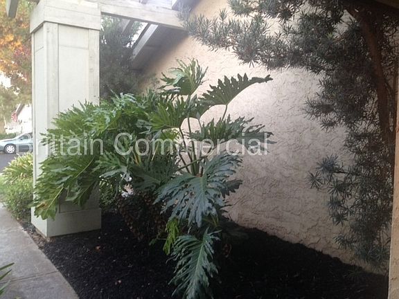 5th image of 11190 Tusket River Dr