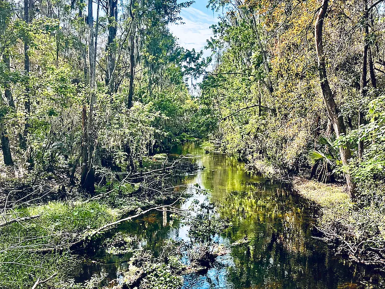 Shingle Creek