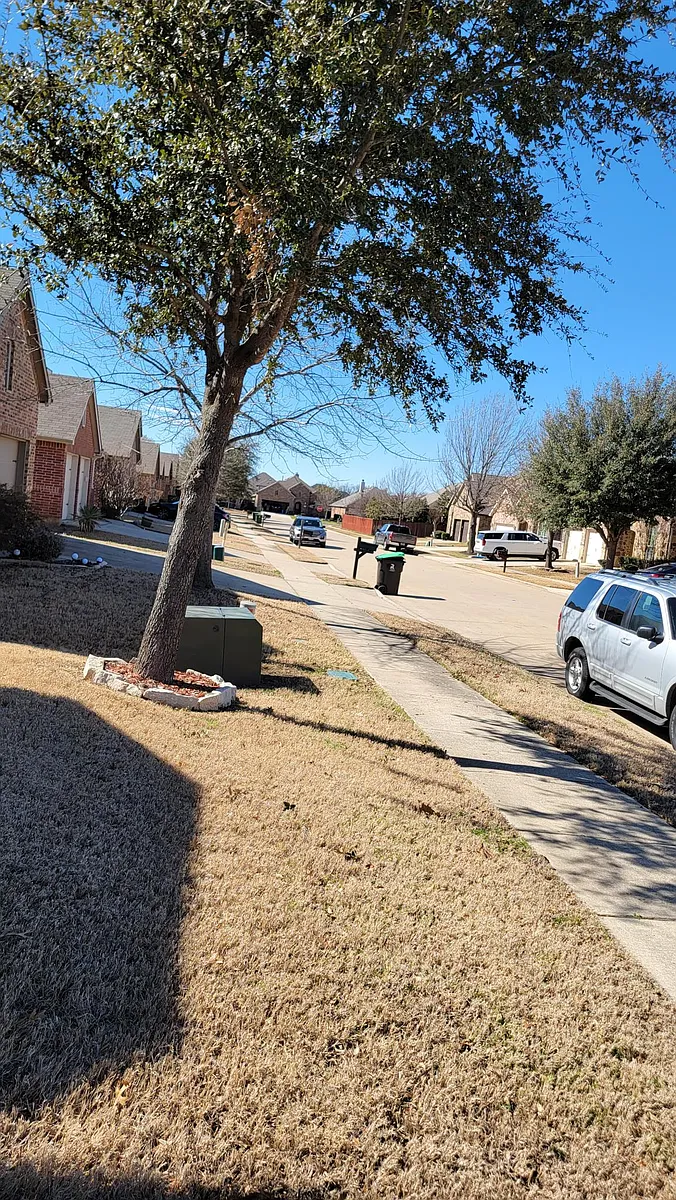Building Photo - 1508 Pelican Dr