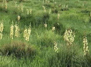 11500 Burtz Rd, Canyon, TX 79015