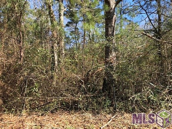3rd image of 29620 Wimberly Ln
