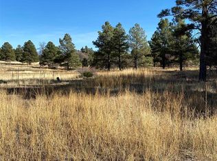 151 Mohawk Ct, Pagosa Springs, CO 81147