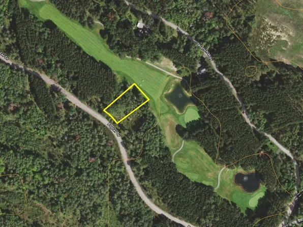 61-552 Fountains Dr, Lewiston, MI 49756