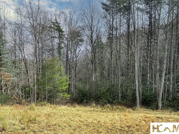 Lot 4 Saratay Falls Drive, Cashiers, NC 28717