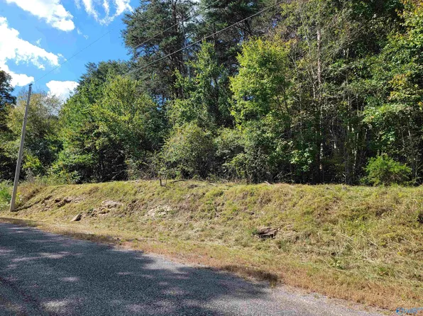 (undisclosed Address), Fort Payne, AL 35967